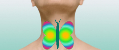 Fürther Klinikgespräche 12.11.2025 Fürther Klinikgespräche Schilddrüse