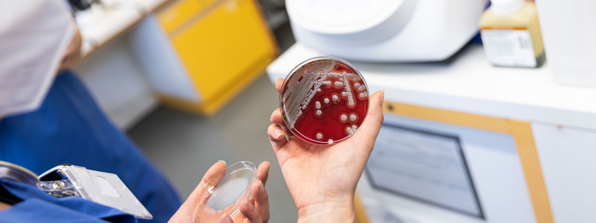 Mitarbeiterin hält Petrischale mit Flüssigkeit in der Hand