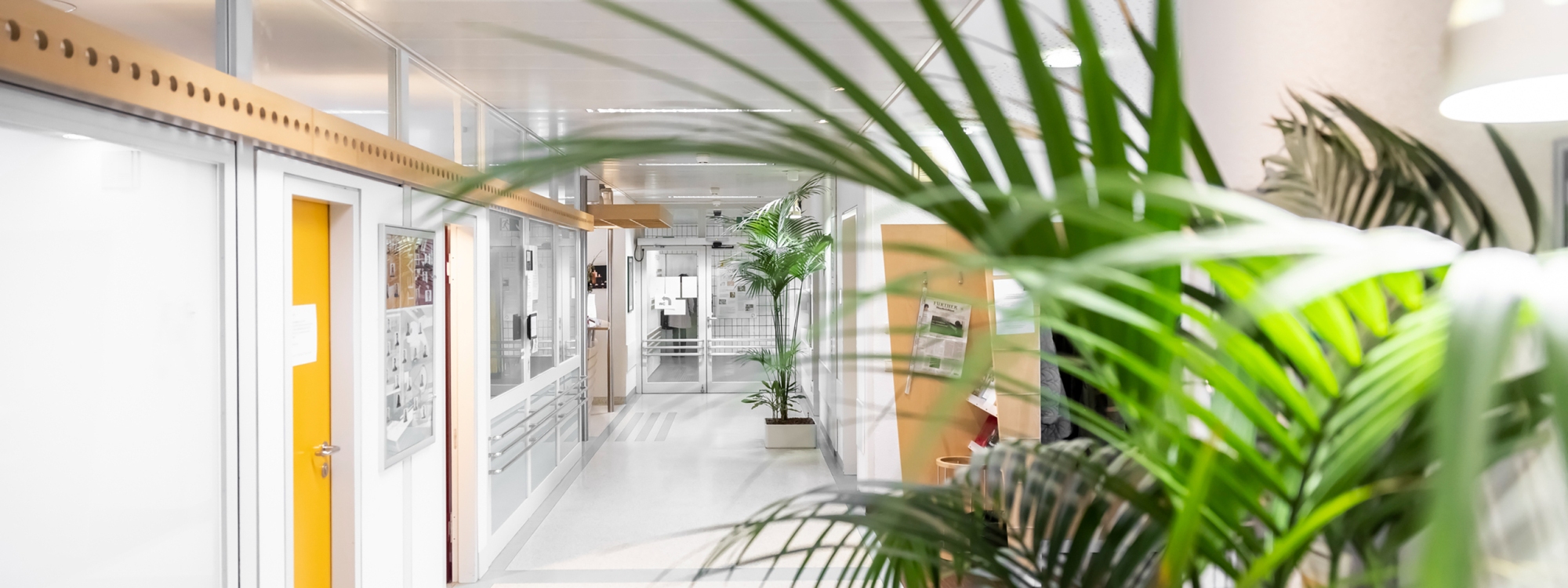 Blick in den Flur zum Empfangsbereich der Strahlentherapie